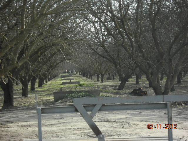 1466 E Grayson Rd, Ceres, CA 95307 photo 23