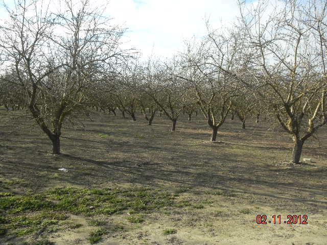 1466 E Grayson Rd, Ceres, CA 95307 photo 22