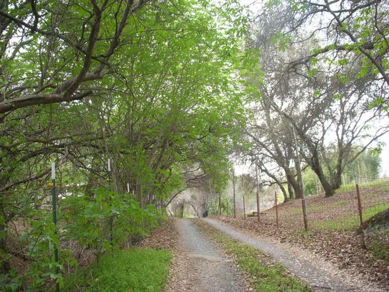 1398 Taylor Rd, Penryn, CA 95663 photo 1