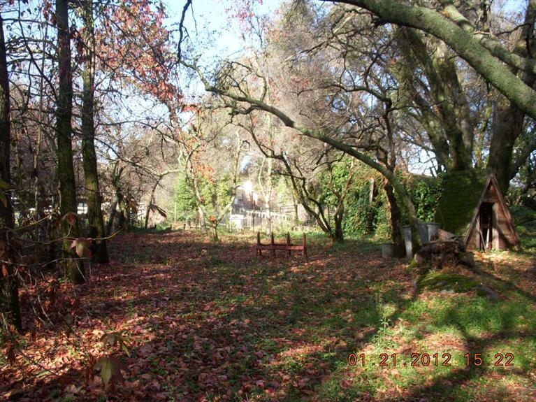 1398 Taylor Rd, Penryn, CA 95663 photo 9