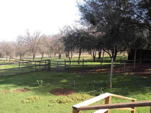5241 Pilot View Dr, Pilot Hill, CA 95664 photo 19