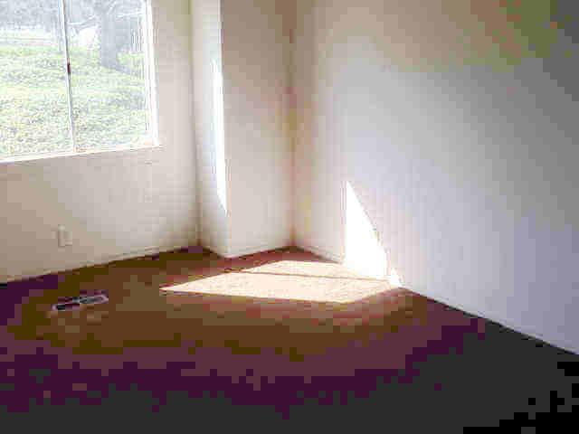 5241 Pilot View Dr, Pilot Hill, CA 95664 photo 13