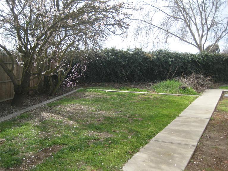 1328 Cribari Dr, Modesto, CA 95358 photo 20