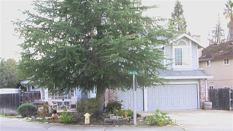 3420 Milburn St, Rocklin, CA 95765 photo 2