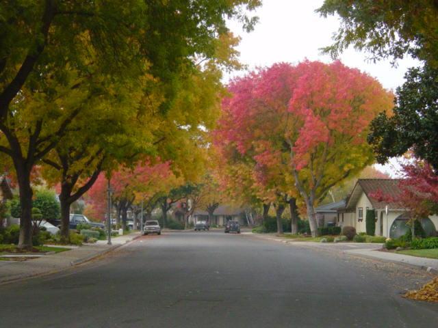 2701 Surrey Ave, Modesto, CA 95355 photo 5