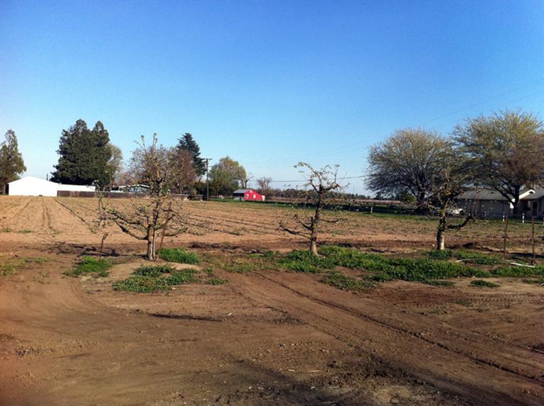 11872 N Ham Ln, Lodi, CA 95242 photo 8