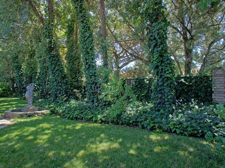 5504 Tufts St, Davis, CA 95618 photo 15