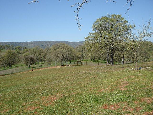 4236 Little John Rd, Copperopolis, CA 95228 photo 15