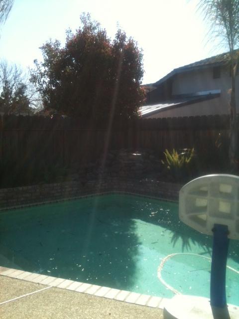1437 Emigrant Ct, Modesto, CA 95358 photo 6