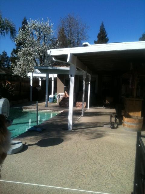 1437 Emigrant Ct, Modesto, CA 95358 photo 3