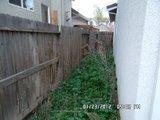 1272 Esplanade Dr, Merced, CA 95348 photo 23