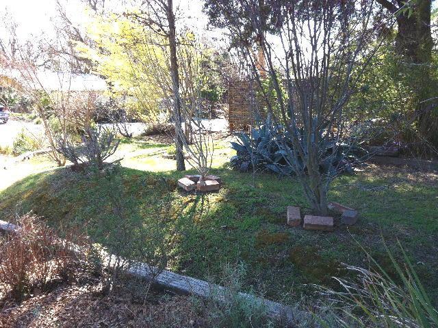 2804 Grinnel Dr, Davis, CA 95618 photo 11