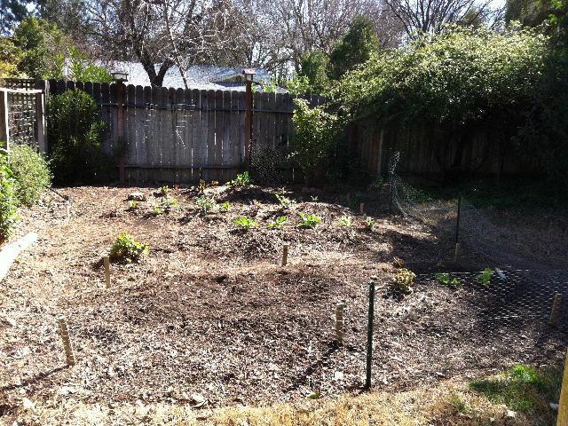 2804 Grinnel Dr, Davis, CA 95618 photo 14