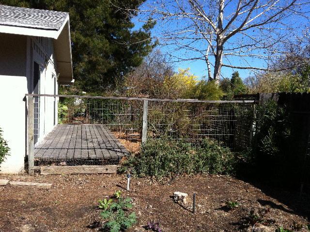2804 Grinnel Dr, Davis, CA 95618 photo 13