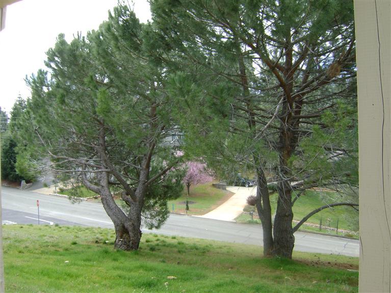 2044 Kit Fox Ct, Cool, CA 95614 photo 21