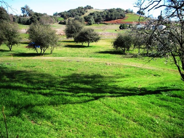 1750 Windmill, San Andreas, CA 95249 photo 3