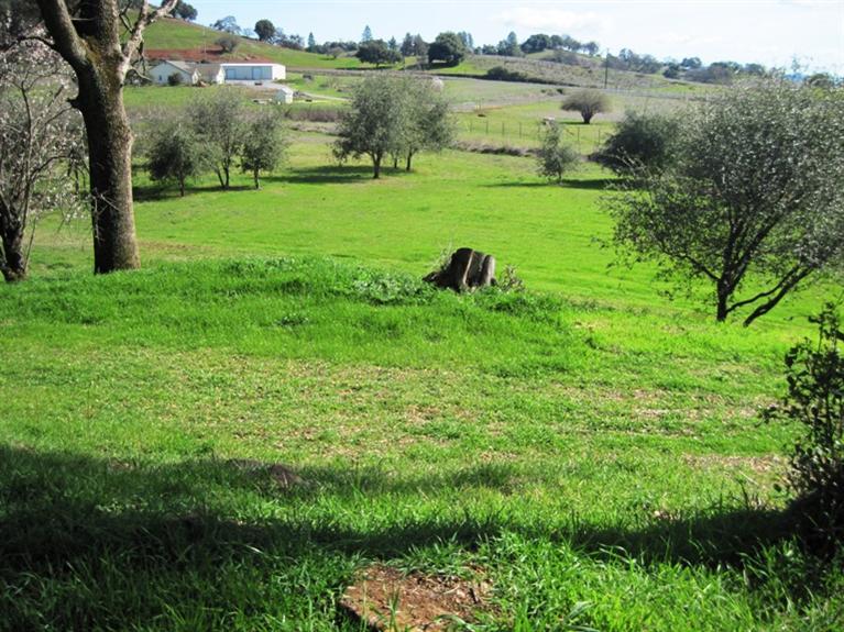 1750 Windmill, San Andreas, CA 95249 photo 16