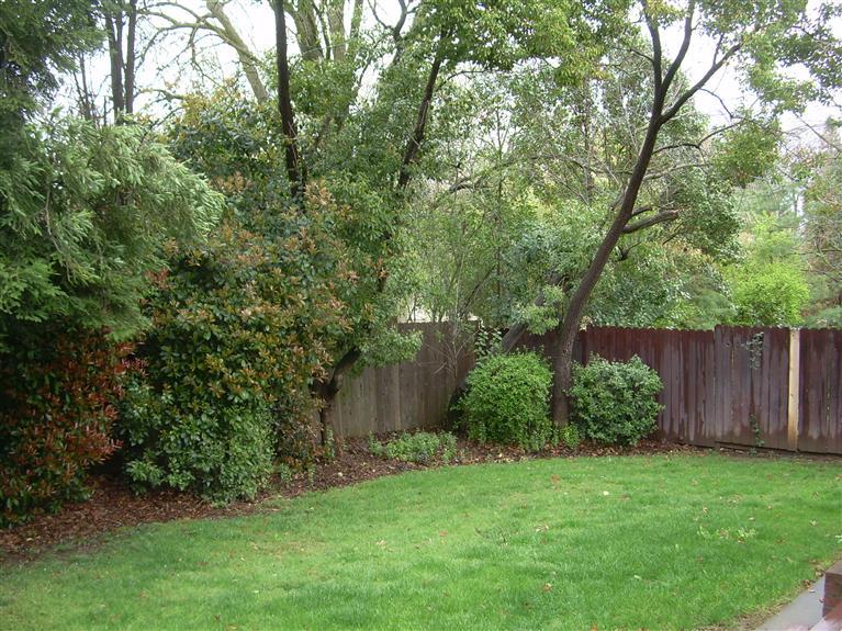 5409 Saint Anton Ct, Carmichael, CA 95608 photo 8