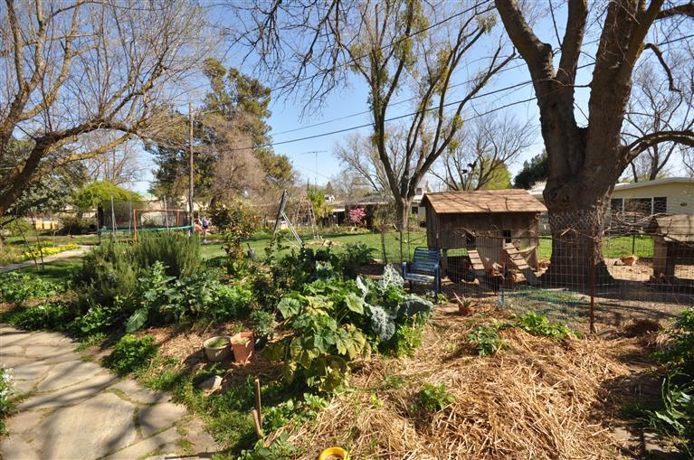 708 N St, Davis, CA 95616 photo 14