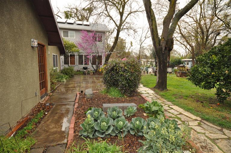708 N St, Davis, CA 95616 photo 13