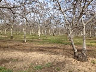 9036 E Grayson Rd, Denair, CA 95316 photo 2
