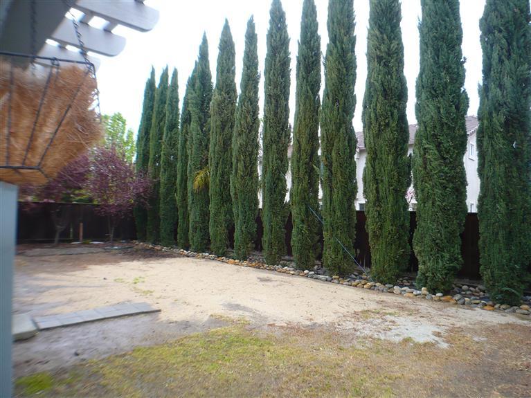 1263 Pyrenees St, Tracy, CA 95304 photo 22