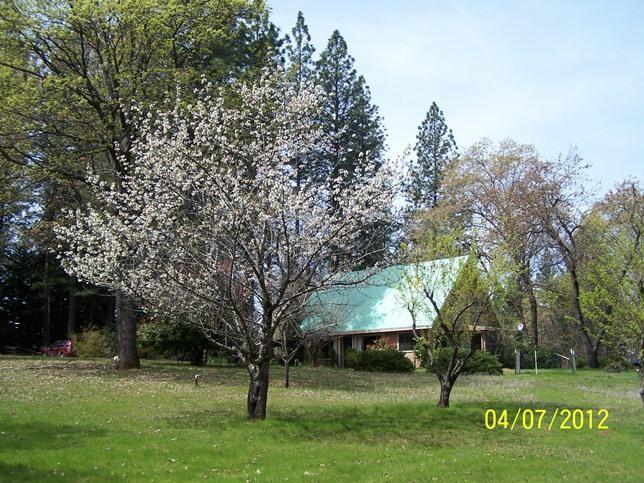 690 Schroeder Ln, Colfax, CA 95713 photo 18