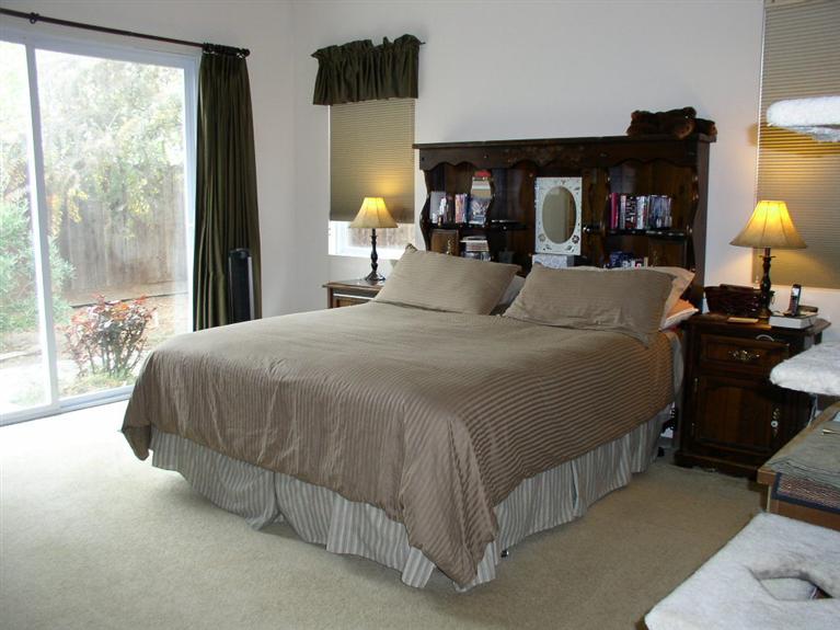 849 Alexander Gabriel Ct, Tracy, CA 95377 photo 13