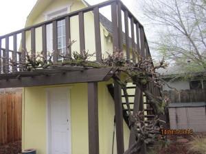 330 W Emerson Ave, Tracy, CA 95376 photo 21