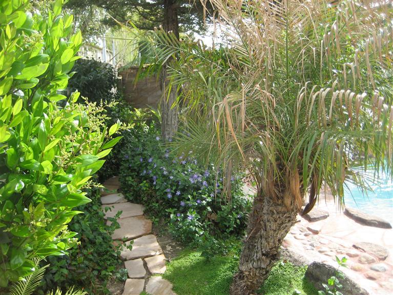 318 Van Dyken Way, Ripon, CA 95366 photo 4