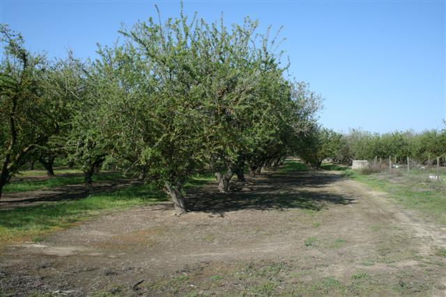 4224 Central Ave, Ceres, CA 95307 photo 8