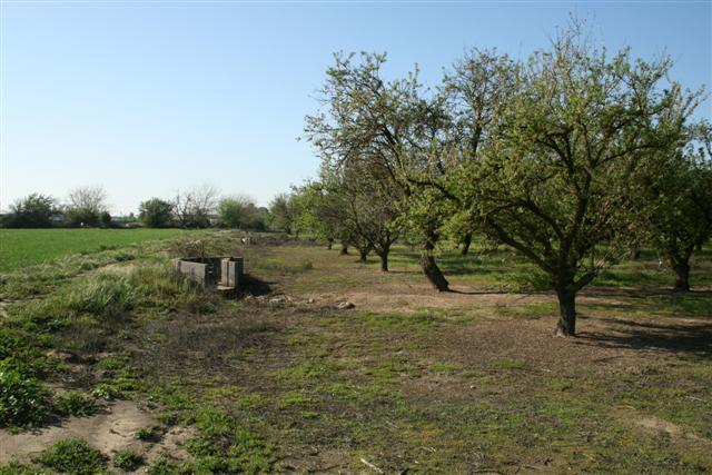 4224 Central Ave, Ceres, CA 95307 photo 7