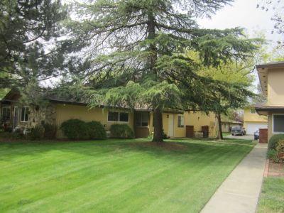 2713 Bidwell St #3, Davis, CA 95618 photo 1