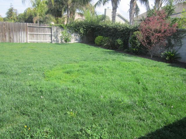3020 Merle Ave, Modesto, CA 95355 photo 10
