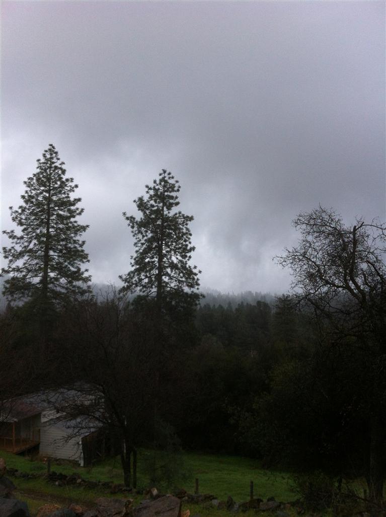 2687 Riffle Ct, Placerville, CA 95667 photo 22