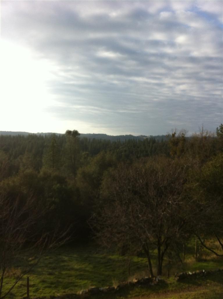 2687 Riffle Ct, Placerville, CA 95667 photo 2