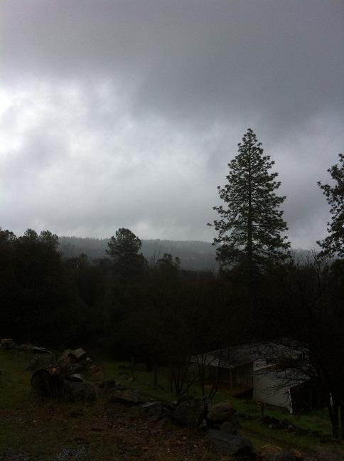 2687 Riffle Ct, Placerville, CA 95667 photo 21