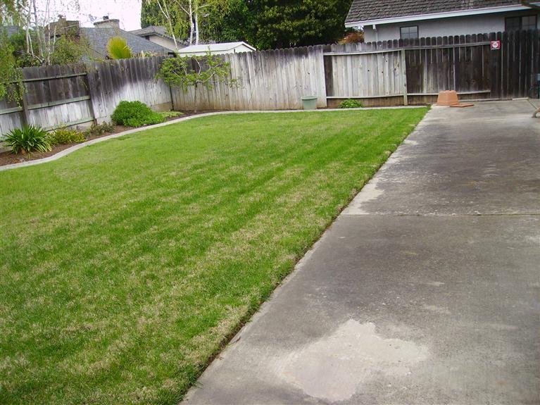 333 Sparrow Ln, Lodi, CA 95240 photo 3