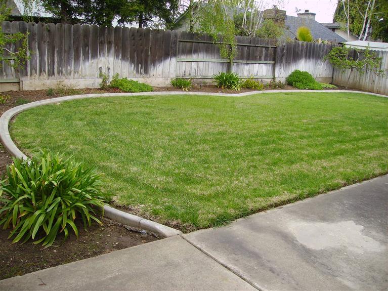 333 Sparrow Ln, Lodi, CA 95240 photo 4