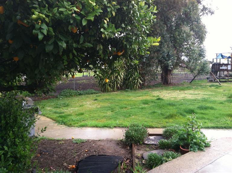 10990 N Micke Grove Rd, Lodi, CA 95240 photo 16