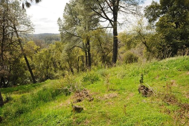4422 Panorama Dr, Placerville, CA 95667 photo 17