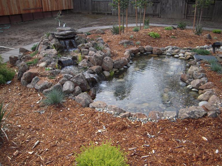 8770 Ash Hl, Orangevale, CA 95662 photo 23