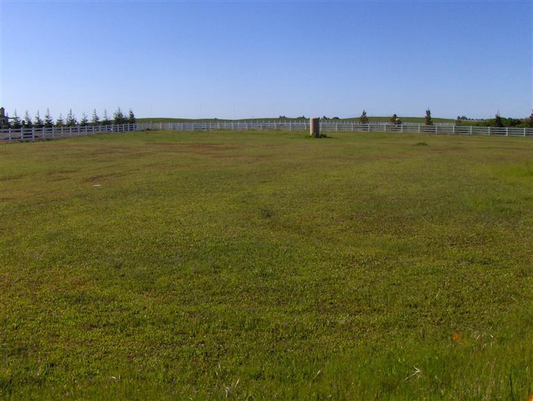 9641 Martingale Ct, Wilton, CA 95693 photo 15