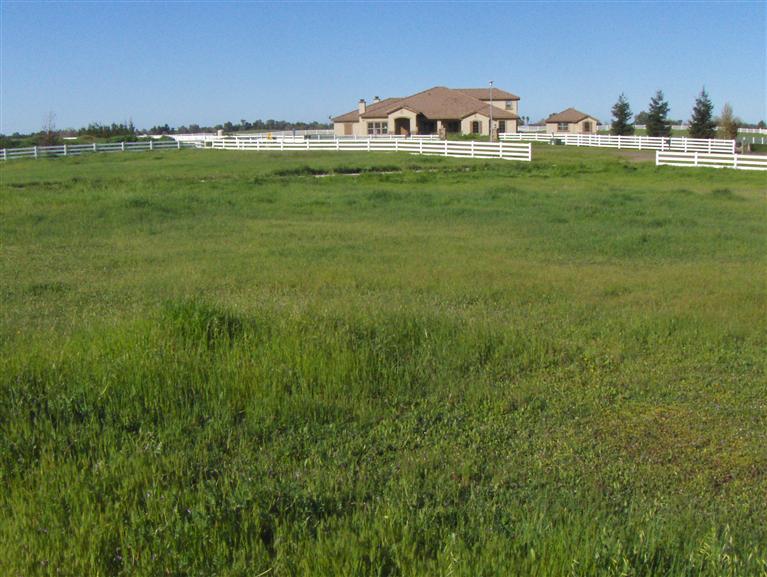 9641 Martingale Ct, Wilton, CA 95693 photo 19