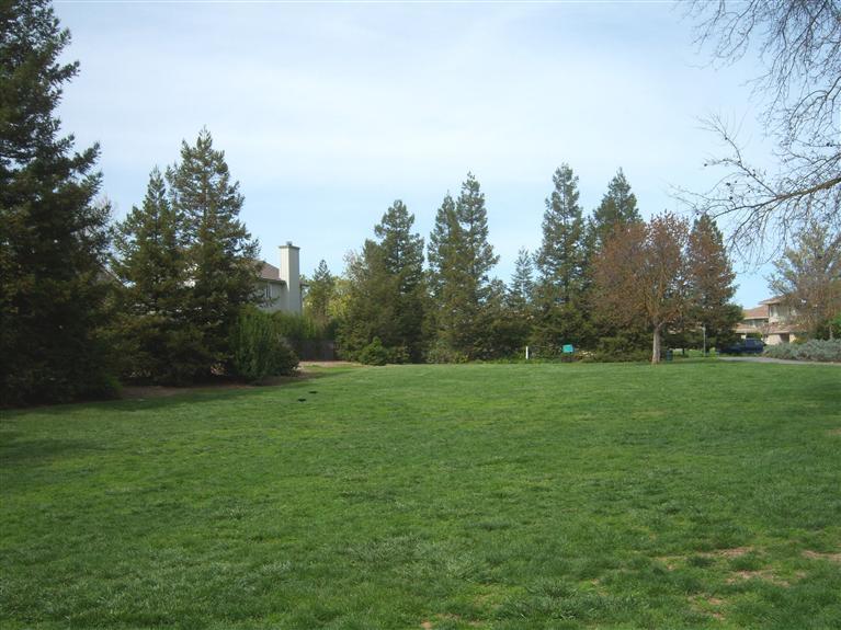 1707 Olympic Dr #4, Davis, CA 95616 photo 18