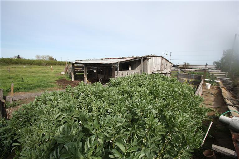 3400 Paradise Rd, Modesto, CA 95358 photo 9