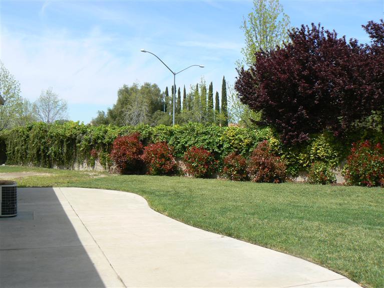 1275 Dolores Ln, Tracy, CA 95376 photo 4