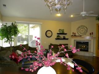 1157 Grey Fox Ct, Folsom, CA 95630 photo 4