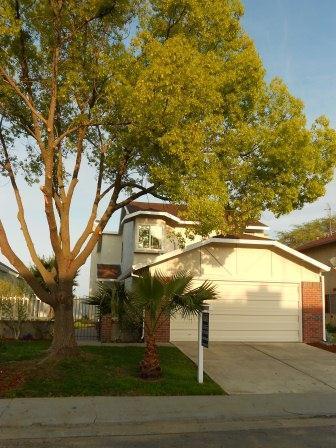 7679 Bogan Way, Antelope, CA 95843 photo 1