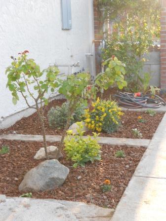 7679 Bogan Way, Antelope, CA 95843 photo 9